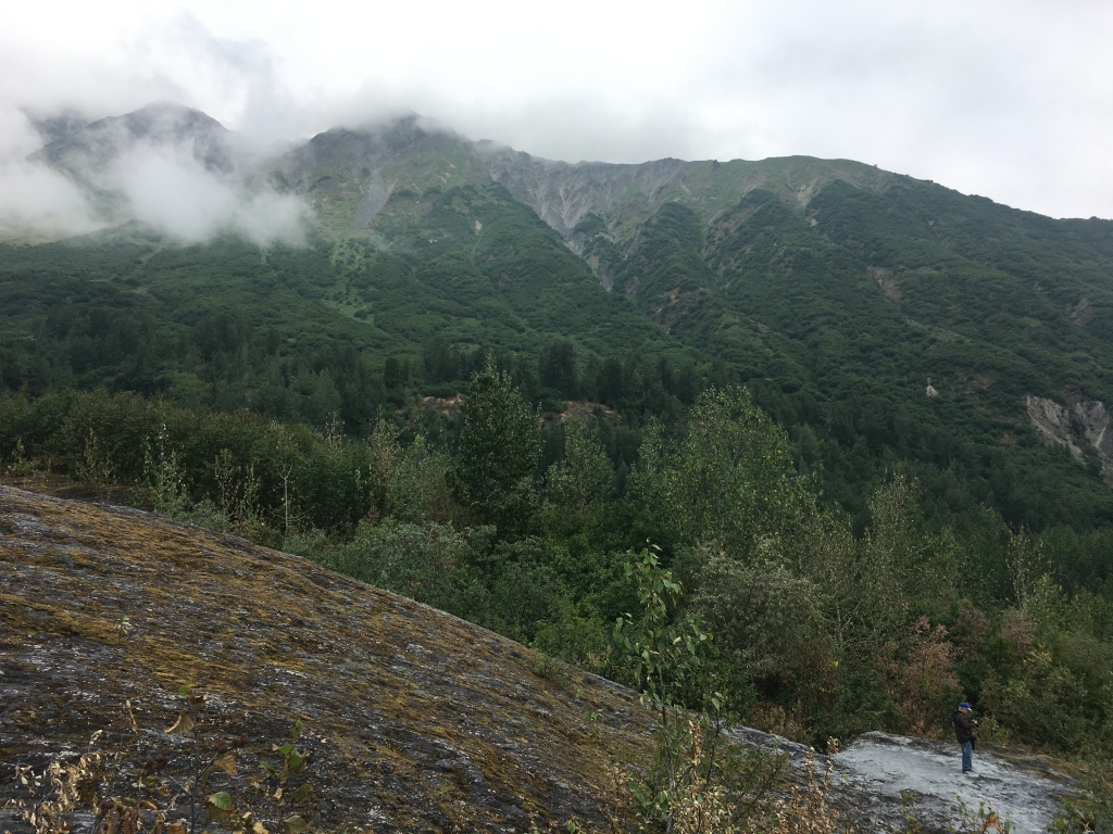 2019-07-12 07-50th-anniversary-cruise-Seward-to-Anchorage-37-Exit-Glacier-Landscape.JPG